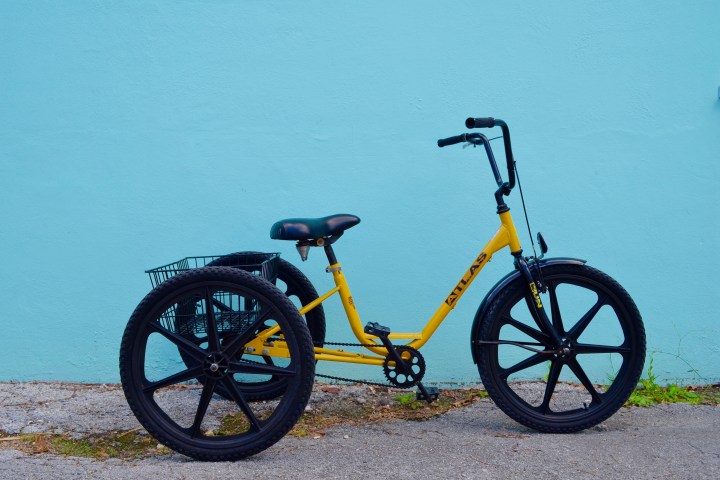 Adult Trike